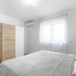 Petar By Rent Istria * Buje